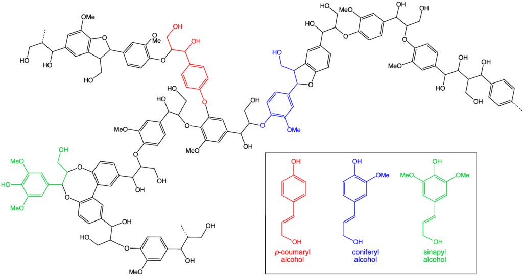 Ligniin