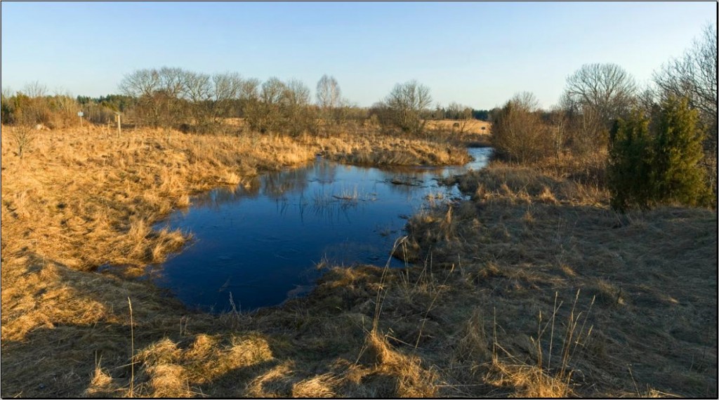 Tiberna salajõgi