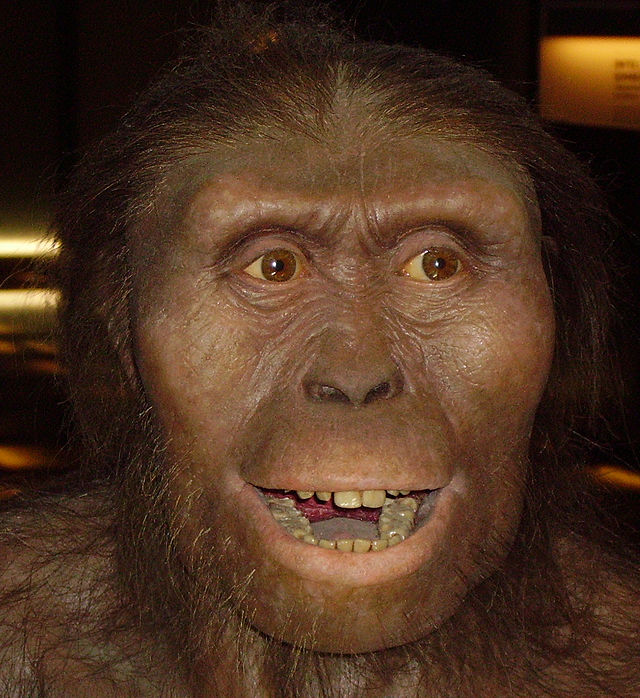 Australopithecus_afarensis_new