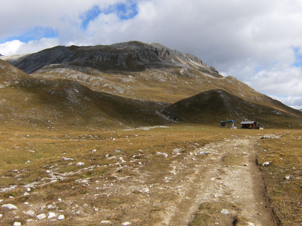 Alpine_tundra_b