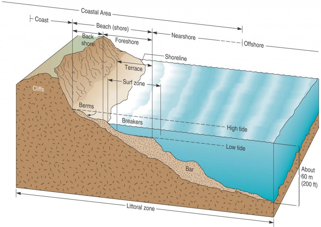 LittoralZoneDiag