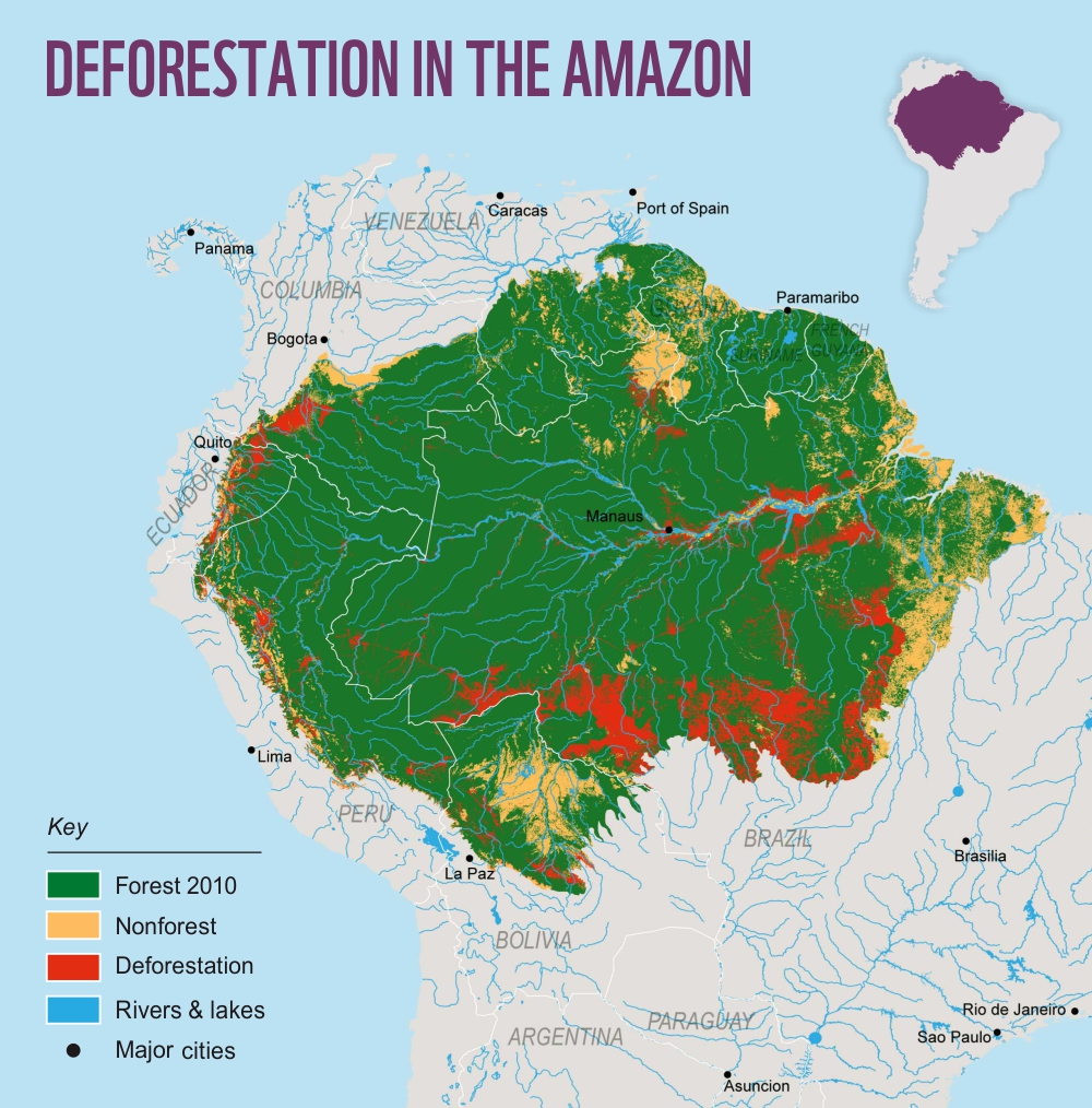 Vihmametsa hävimine Amazonases