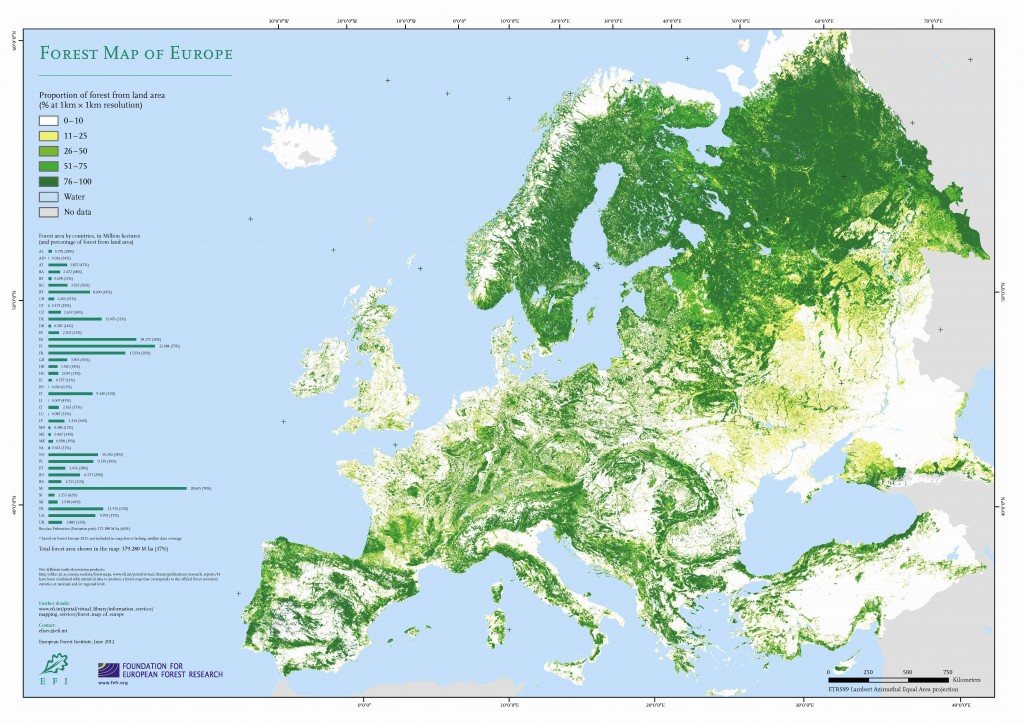 Metsasuse kaart