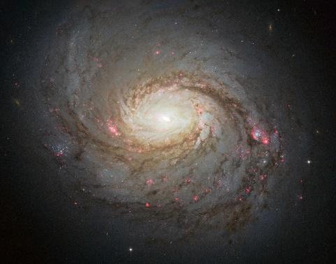 Spiraalgalaktika M77 (NGC 1068) Vaala (Cetus’e) tähtkujus