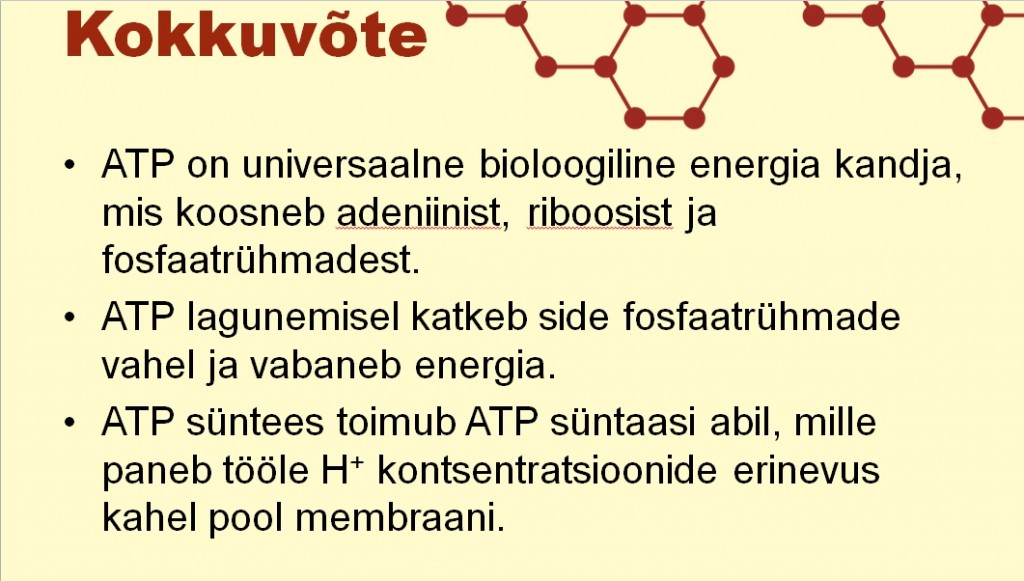 ATP Kokkuvõte