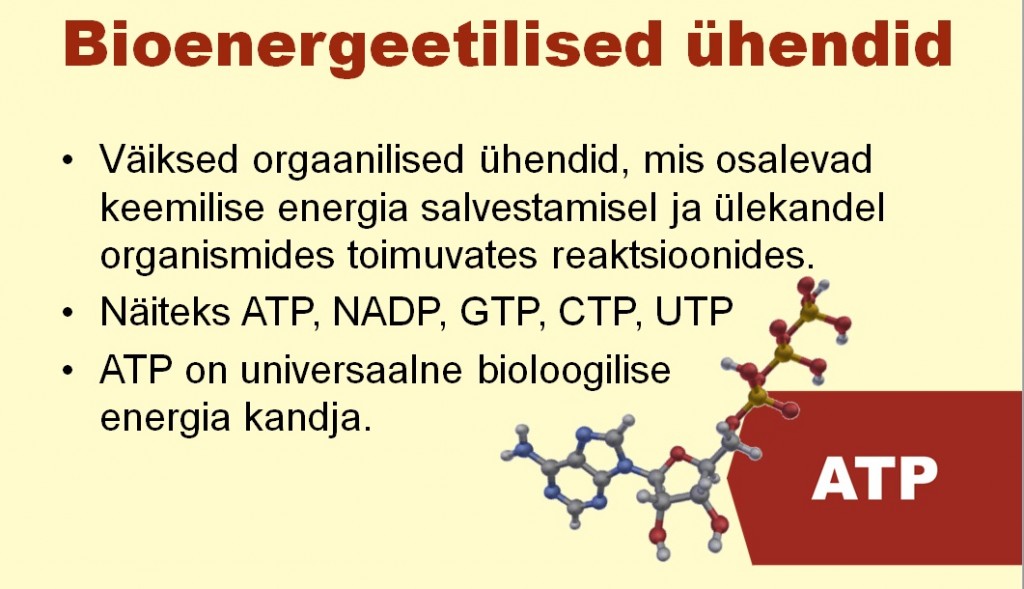 Bioenergeetilised ühendid