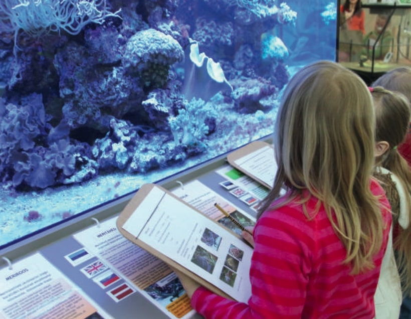 Lapsed vaatavad akvaariumi.
