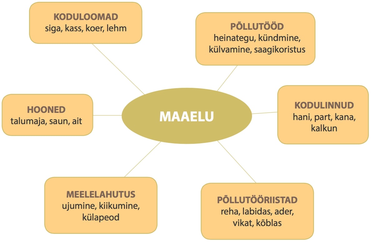 Maaelu mõistekaart:
Koduloomad - siga, kass, koer, lehm
Põllutööd - heinategu, kündmine, külvamine, saagikoristus
Kodulinnud - hani, part, kana, kalkun
Hooned - talumaja, saun, ait
Meelelahutus - ujumine, kiikumine, külapeod
Põllutööriistad - reha, labidas, ader, vikat, kõblas