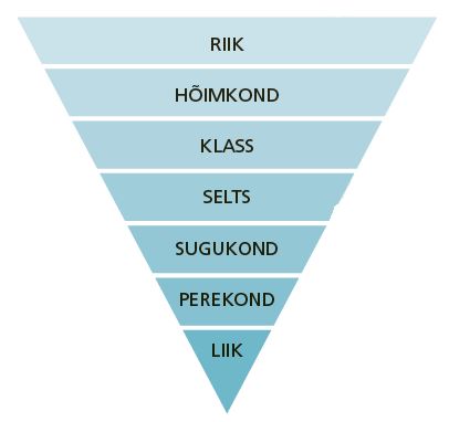 Tagurpidi püramiid, mille kõige laiemal ja kõrgemal astmel on kirjas riik, järgmisel hõimkond, kolmandal klass, neljandal selts, viiendal sugukond, eelviimasel perekond ja viimasel liik.