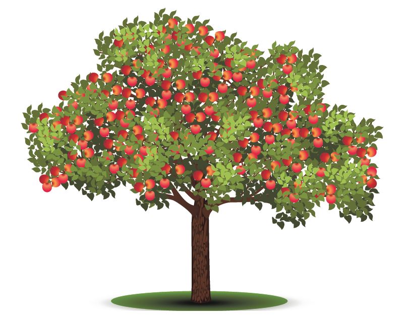 Punaseid õunu täis õunapuu.