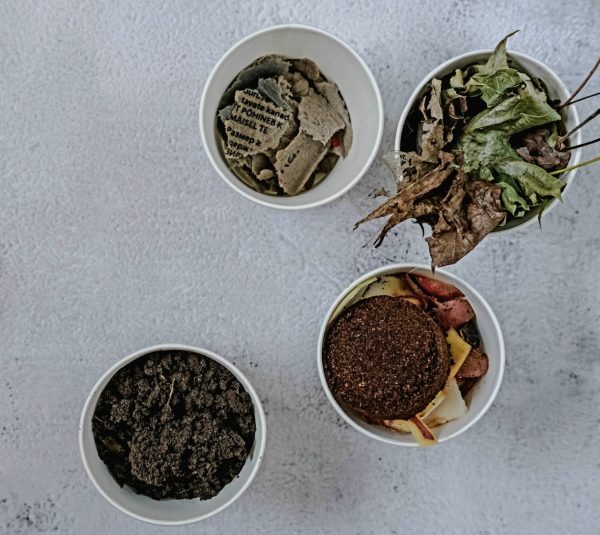 Pildil neli erinevat isetehtud komposti.