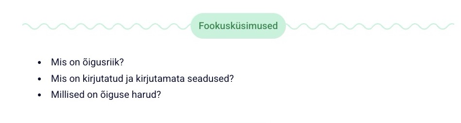 Fookusküsimuste näidis.